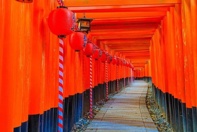 Osaka & Kyoto & Nara Top Hightlights English Speaking Tour - Fushimi Inari and the first orange gates