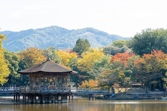 Osaka & Kyoto & Nara Top Hightlights English Speaking Tour - Nara Park, deer, and Todai-ji