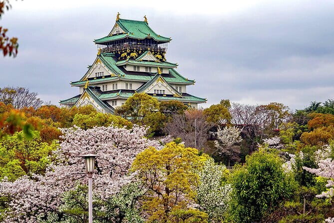 Osaka & Kyoto & Nara Top Hightlights English Speaking Tour - Walking, weather, and the pace of the bus
