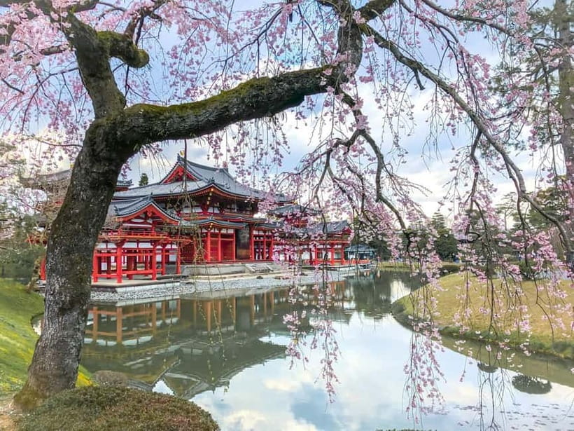 Osaka: Kyoto & Nara & Uji Historical and Scenic One-Day Tour - Why this route works from Osaka