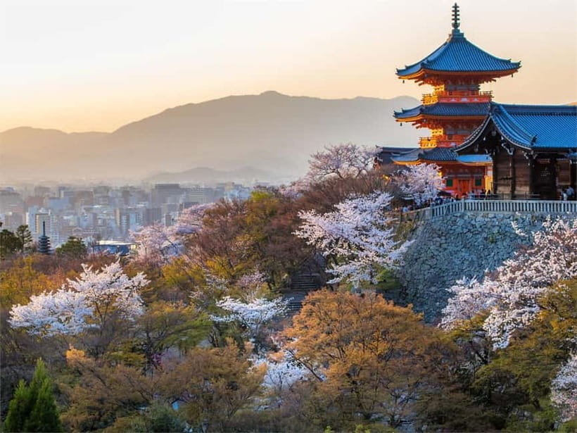 Osaka: Kyoto & Uji Historical Sites and Scenic Delights Tour - Is $54 good value for a full day?