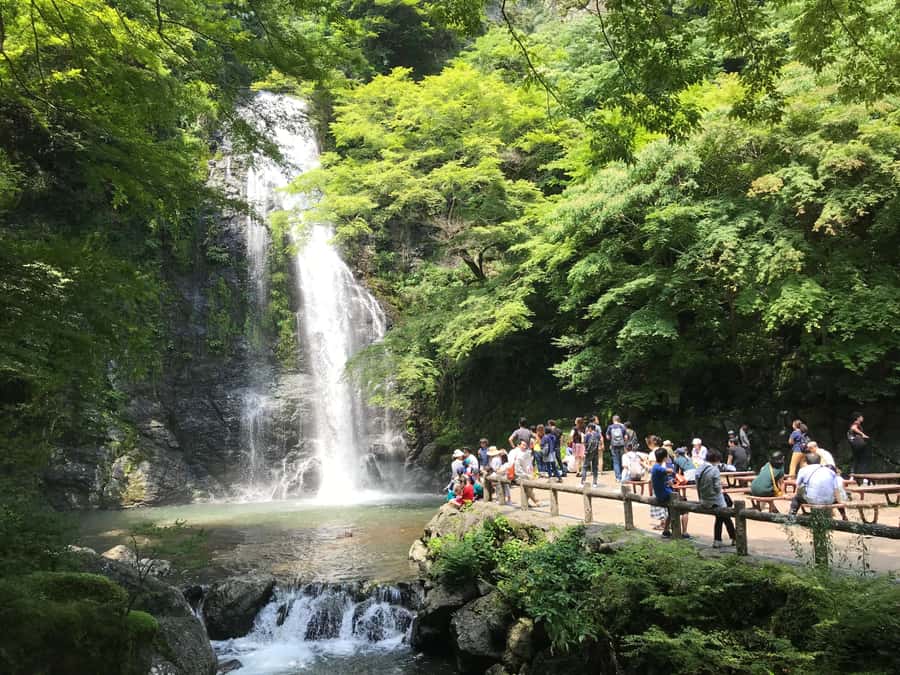 Osaka: Mino Forest Walk and Giant Waterfall with Local Lunch - Key points at a glance