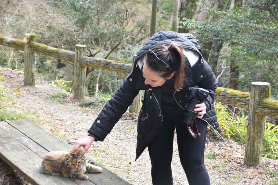 Osaka: Mino Forest Walk and Giant Waterfall with Local Lunch - Thirty minutes into the forest