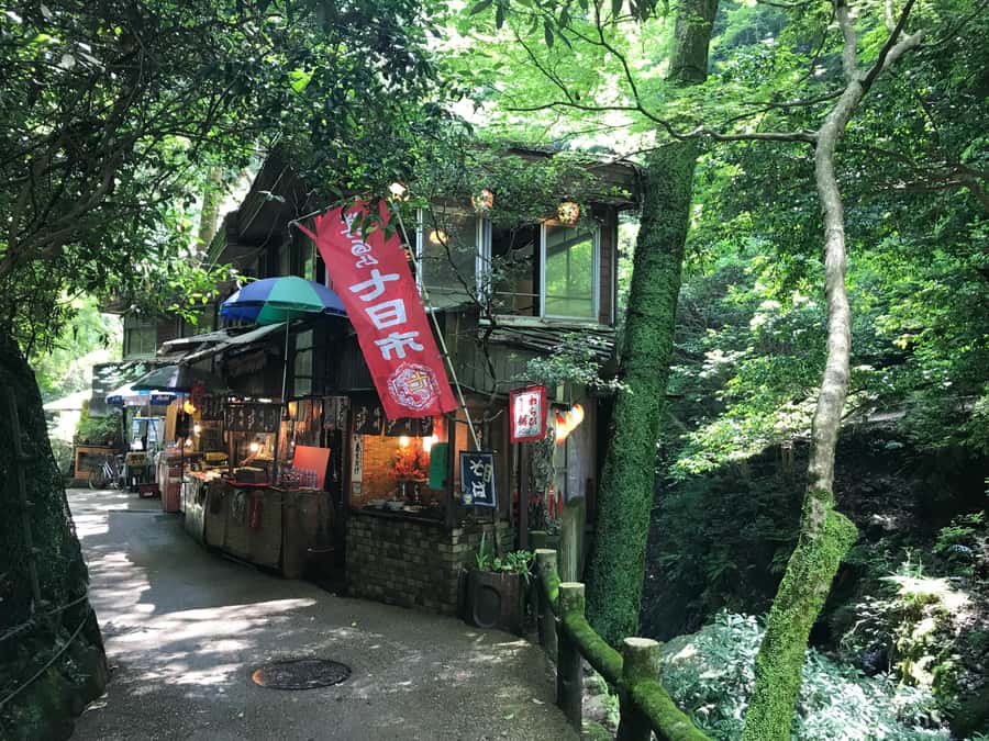 Osaka: Mino Forest Walk and Giant Waterfall with Local Lunch - Mino Waterfall and yuzu cider