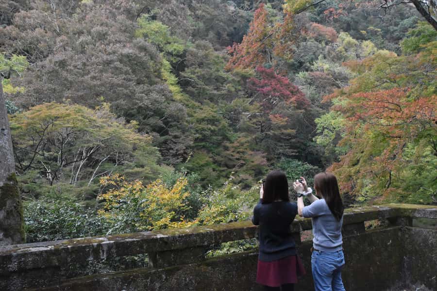 Osaka: Mino Forest Walk and Giant Waterfall with Local Lunch - How the guides shape the day