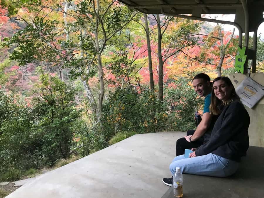 Osaka: Mino Forest Walk and Giant Waterfall with Local Lunch - Price, walking, and overall value