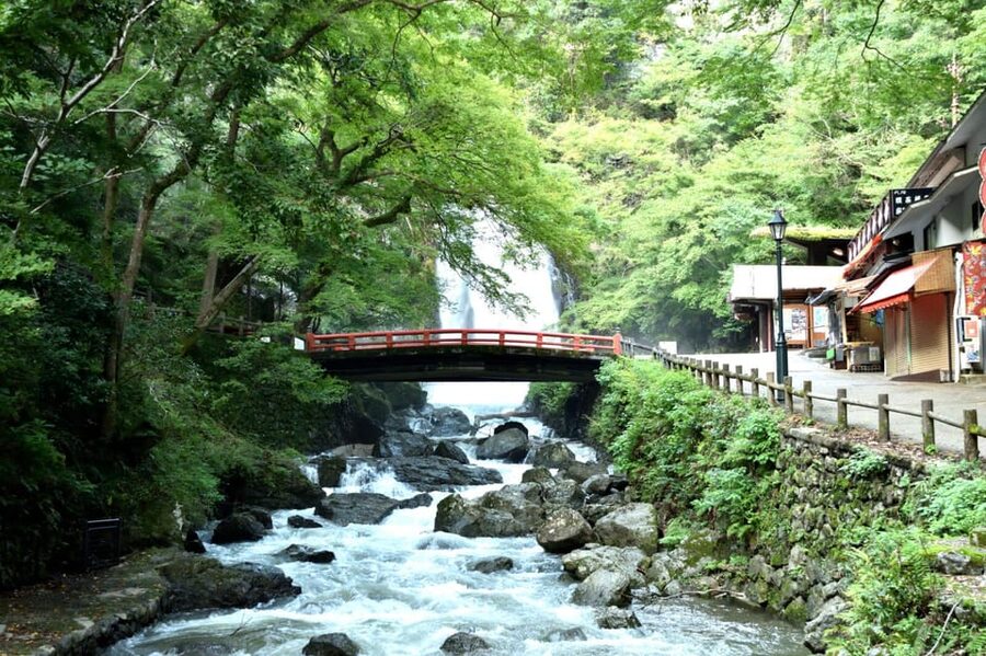 Osaka: Minoh, Katsuoji Temple, & Minoh Falls Full-day Tour - Why this northern Osaka day trip works