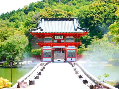 Minoh, Katsuoji Temple, & Minoh Falls Full-day Tour