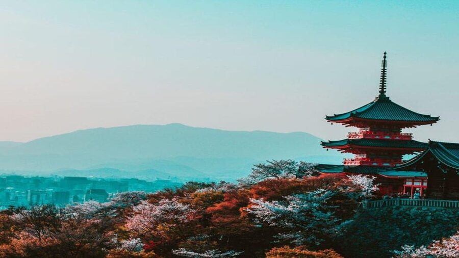 Osaka : Must-see & Hidden Gems Walking Tour - At a glance