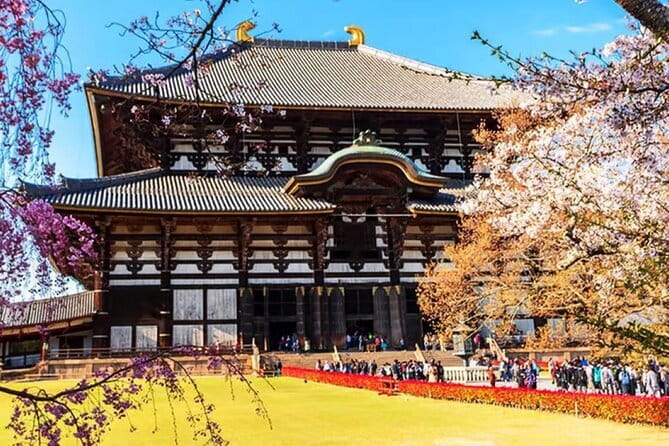 Osaka: Nara, Todaiji, Uji Matcha, and Hot Spring Tour - From Osaka to Nara: a full day with a clear trade-off