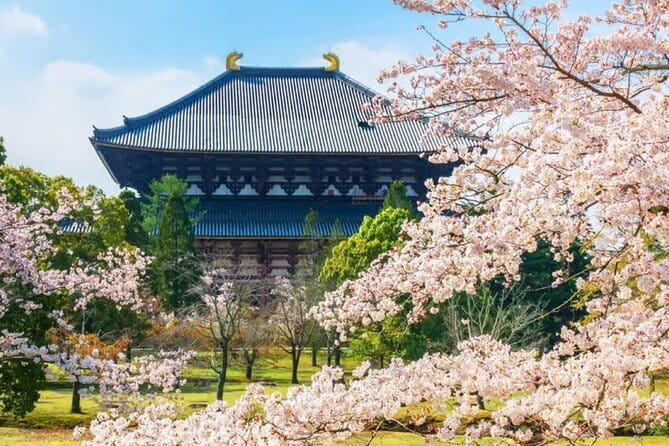 Osaka: Nara, Todaiji, Uji Matcha, and Hot Spring Tour - Nara Park and the deer: the day’s easiest pleasure