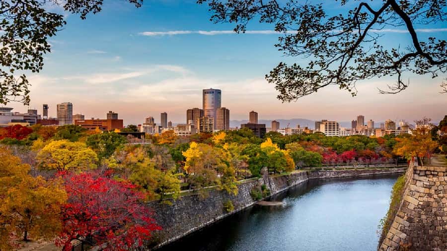 Osaka: Osaka Castle 3 hours Historical Walking Tour - Inside the Osaka Castle Museum