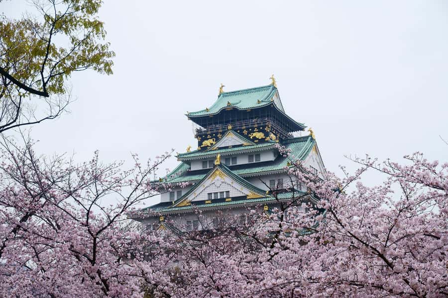 Osaka: Osaka Castle 3 hours Historical Walking Tour - The observation deck and Osaka from above