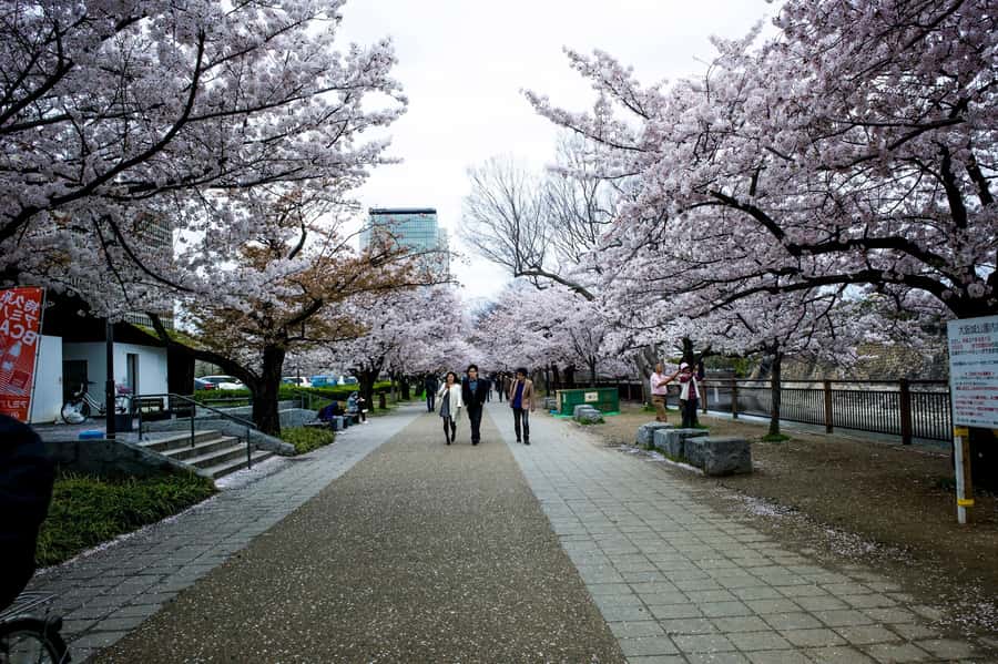 Osaka: Osaka Castle 3 hours Historical Walking Tour - Nishinomaru Garden and the castle’s best photo angle