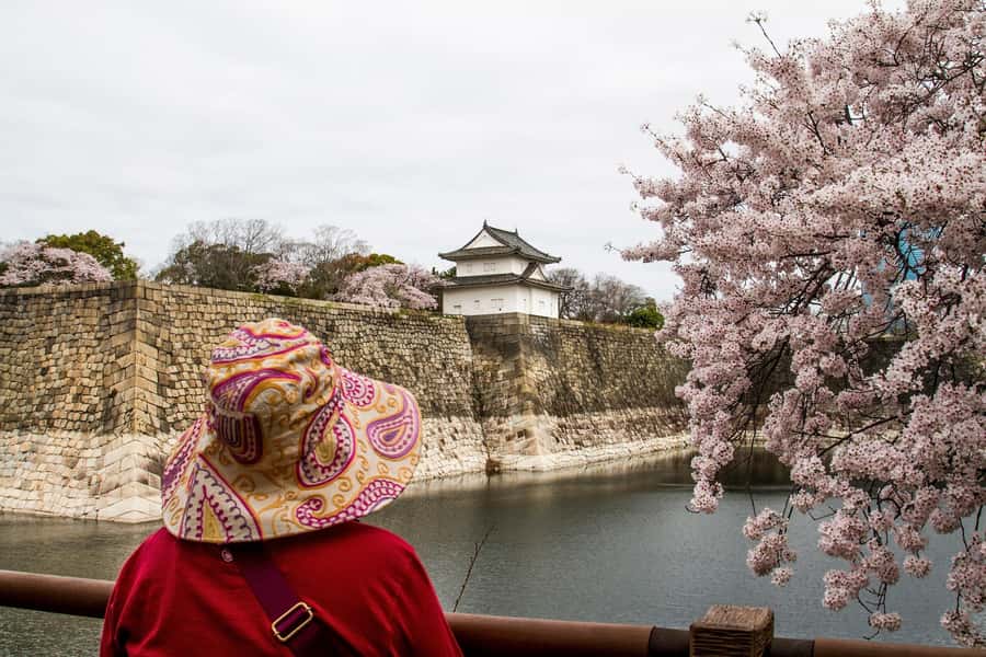 Osaka: Osaka Castle 3 hours Historical Walking Tour - A walk through Osaka Castle Park