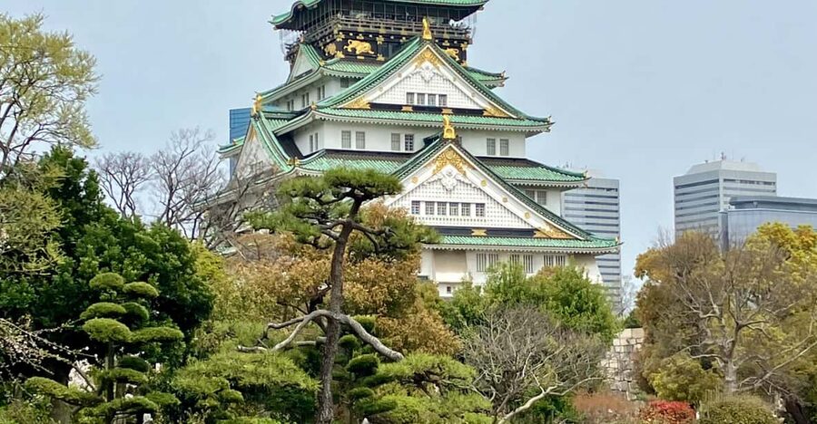 Osaka: Private and Fully Customized Tour with Hotel Meet Up - How much time and money should you allow?