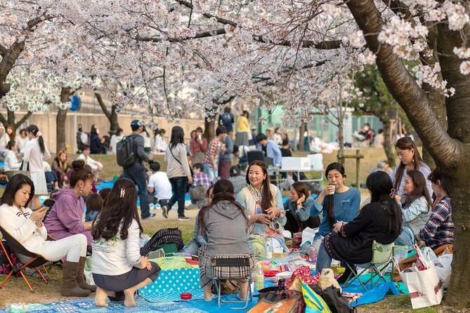 Osaka Private Cherry Blossom Tour with a Local – Picnic Included - Riverside rows of cherry trees and open picnic space