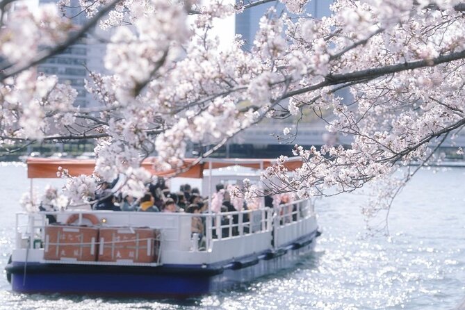 Osaka Private Cherry Blossom Tour with a Local – Picnic Included - The Osaka Mint Bureau’s short spring opening