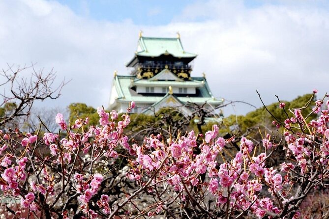 Osaka Private Cherry Blossom Tour with a Local – Picnic Included - What comes in the hanami picnic