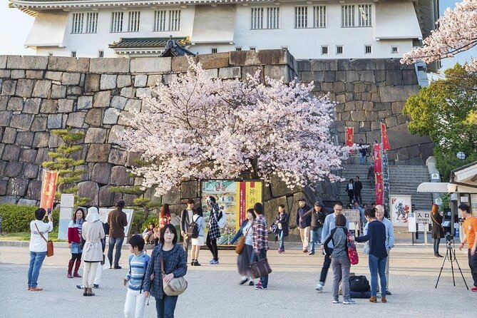 Osaka Private Cherry Blossom Tour with a Local – Picnic Included - Guide style and the value of local advice