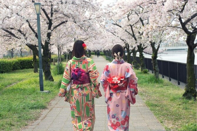 Osaka Private Cherry Blossom Tour with a Local – Picnic Included - Osaka Castle Park, water reflections, and 4,000 trees