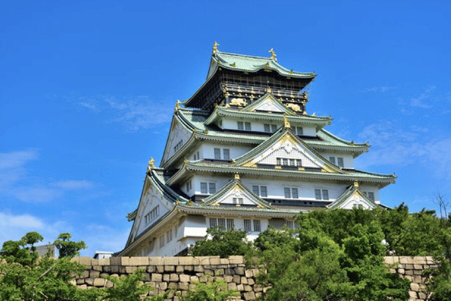 Osaka Private Custom Tour with Local Guide - Key points to know