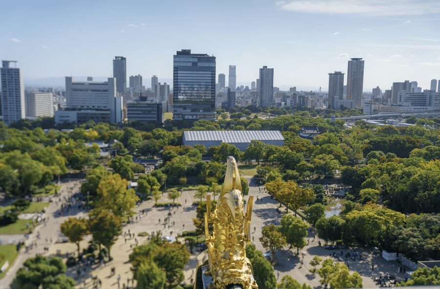 Osaka Private Custom Tour with Local Guide - Hozenji Temple and other possible additions