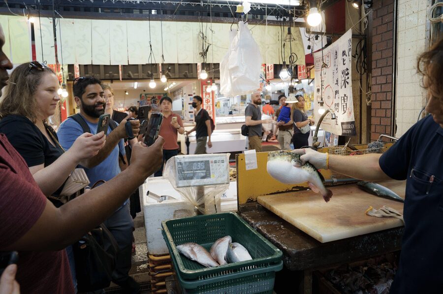 Osaka Private Custom Tour with Local Guide - Which kind of visitor will appreciate it most