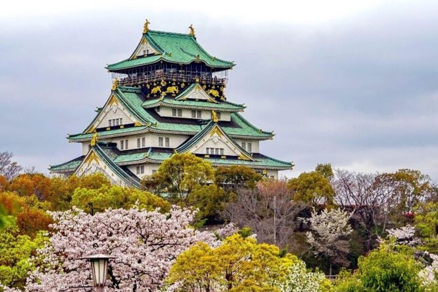 Osaka: Private Custom Walking Tour with a Local Guide - Who should book this Osaka tour?
