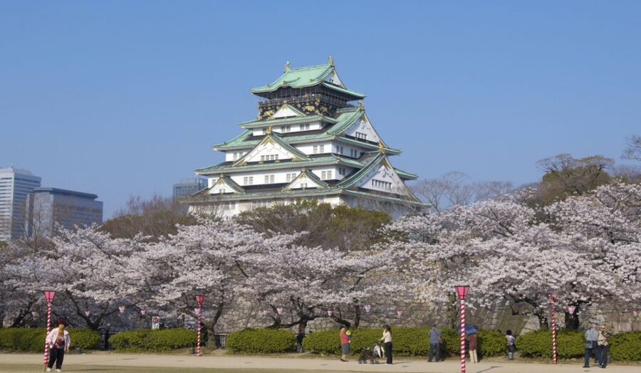 Osaka: Private Customizable Day Tour with Hotel Transfer - Eat your way through Kuromon Ichiba Market