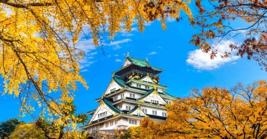 Osaka: Private Customizable Day Tour with Hotel Transfer - Shinsaibashi brings shopping into the plan