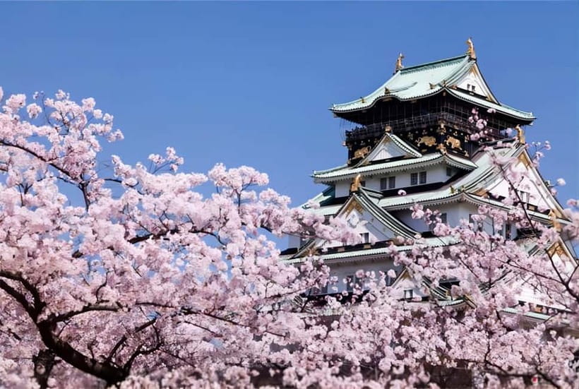 Osaka: Private Customizable Day Tour with Hotel Transfer - Start with Osaka Castle and its broad city story