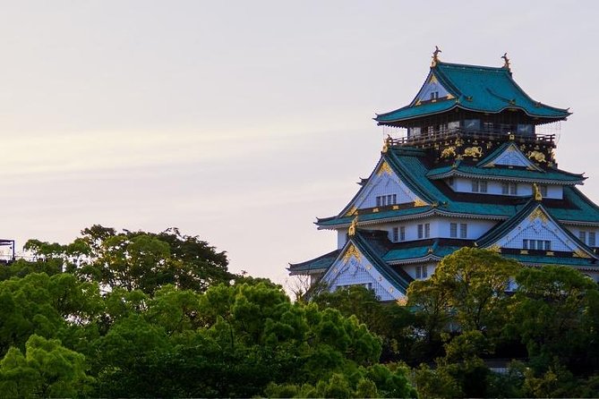 Osaka Private Customizable Half Day Tour - A private Osaka morning built around you