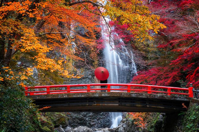 Osaka Private Customizable Half Day Tour - What the guide adds to the morning
