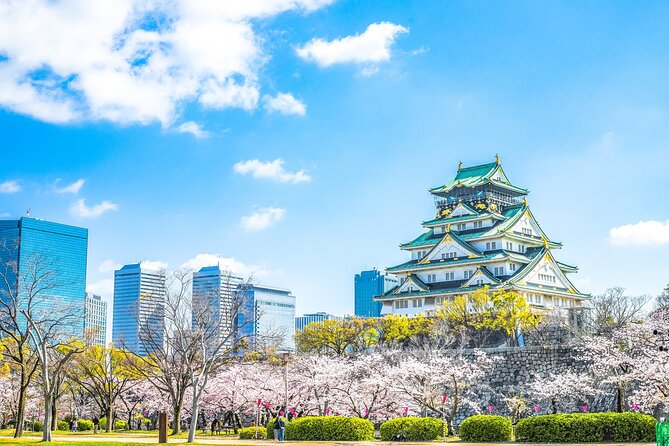 Osaka Private Day Trip - Enjoy Your First-Time Visit to Osaka! - Key points at a glance