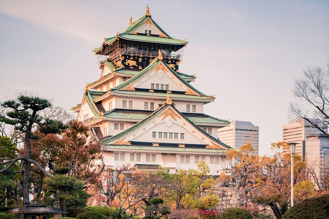 Osaka Private Hightlights Tour Customizable & English Driver - Key points at a glance