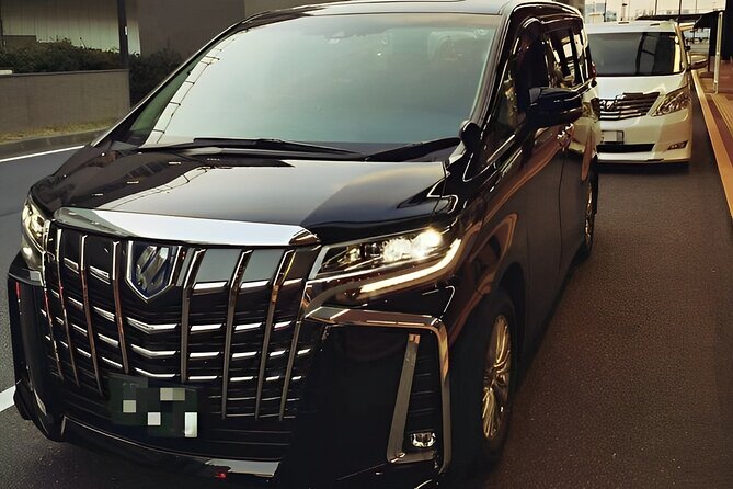 Osaka : Private One-way Transfers to/from Kansai Airport(KIX) - Airport arrival, with two meeting options