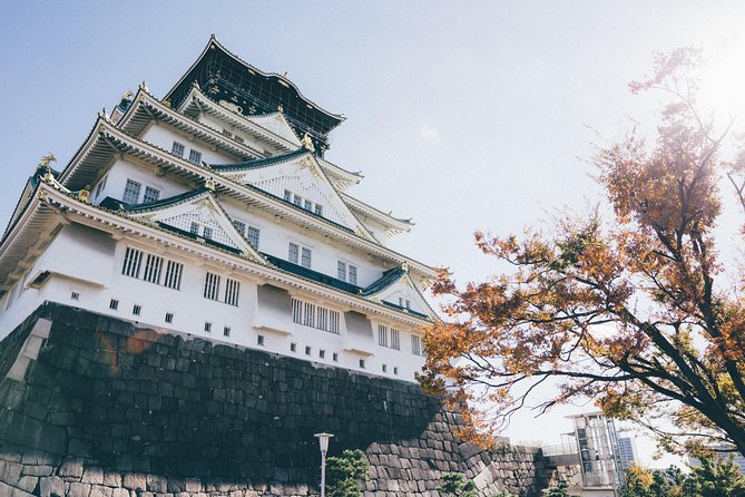 Osaka Private Pop Culture Tour: Historic Tenma to Dotonbori - What the private guide adds