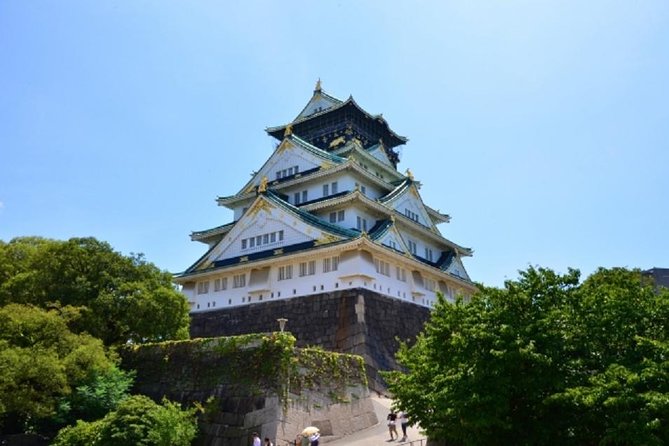 Osaka Private Tour by Public Transportation - What the private guide changes