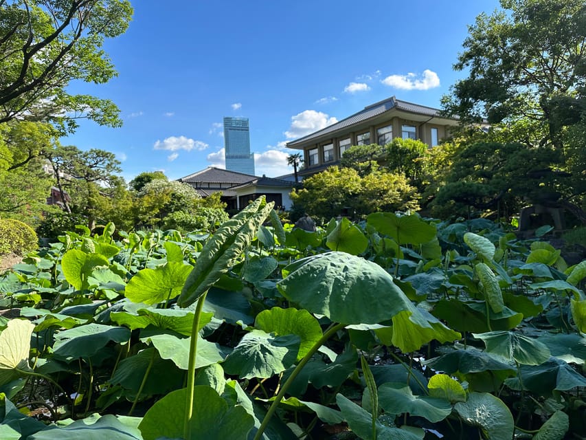 Osaka: Private Tour of Shitennoji, Osaka's Oldest Temple - The Viewpoint and Final Sightseeing