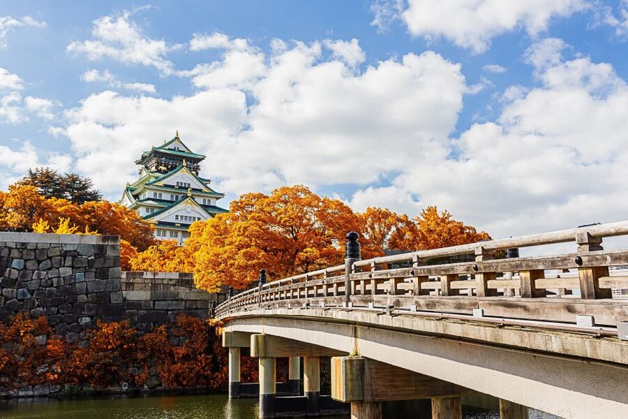 Osaka Private Tour with Government-Licensed Guide - Is $106 per person good value?