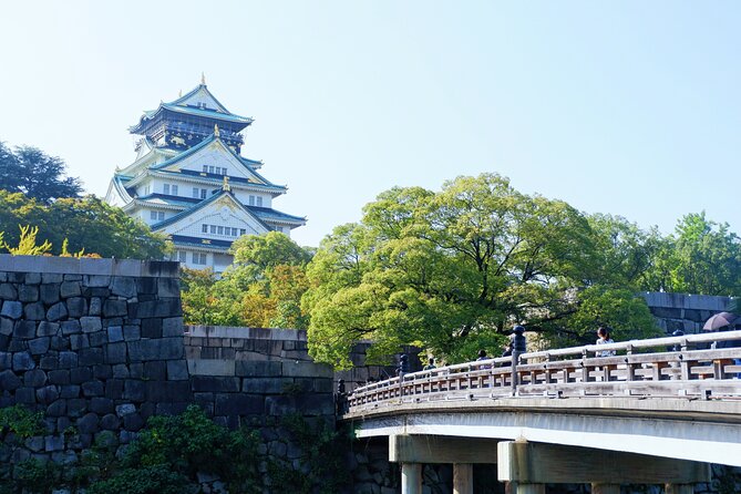 Osaka Private Walking Tour with a Local - Landmarks, temples, blossoms, and city views