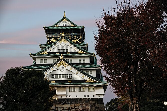 Osaka Private Walking Tour with a Local - Dotonbori, less-visited corners, and everyday Osaka