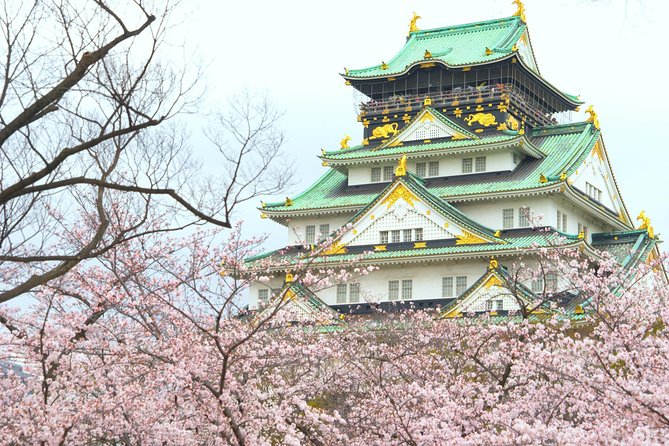 Osaka Private Walking Tour with a Local - Choosing between two hours and a full day