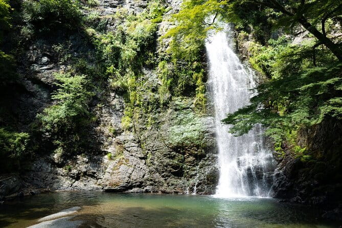 Osaka's Secret Adventures: Daruma Magic and Minoh Falls - How the transport and timing affect the value
