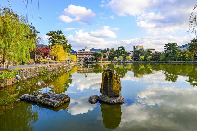 Osaka to Nara Day Trip with a Local – Private & Personalized - Why a private Osaka to Nara day works well