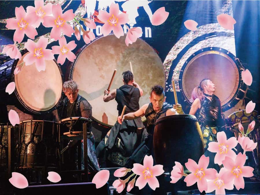 Osaka: UTAGE Japanese Taiko Live Show - What You Hear: Taiko, Shamisen, and Flutes