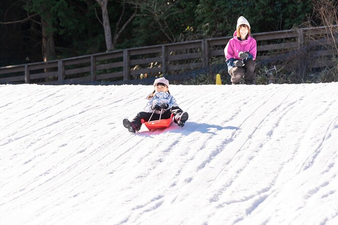 Play with Snow Crab Buffet Lunch and Strawberry Picking Bus Tour - Key points at a glance