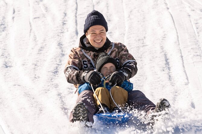 Play with Snow Crab Buffet Lunch and Strawberry Picking Bus Tour - Mt. Rokko Snow Park: 90 minutes in the snow