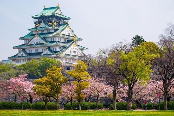 PRIVATE 6hr, Food tour from Osaka Castle, Kuromon, Dotonbori. - What makes this Osaka tour worth considering